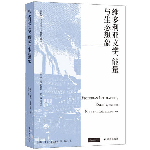 维多利亚文学、能量与生态想象 商品图1