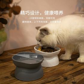 新品宠物摩登喂食碗 保护颈椎 饮水碗 大容量斜口防打翻中小型犬猫 塑料宠物碗
