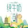 【9月生产】西湖牌新品钻石包纯牛奶200ml*40盒（散装，一次性配送到家） 商品缩略图1