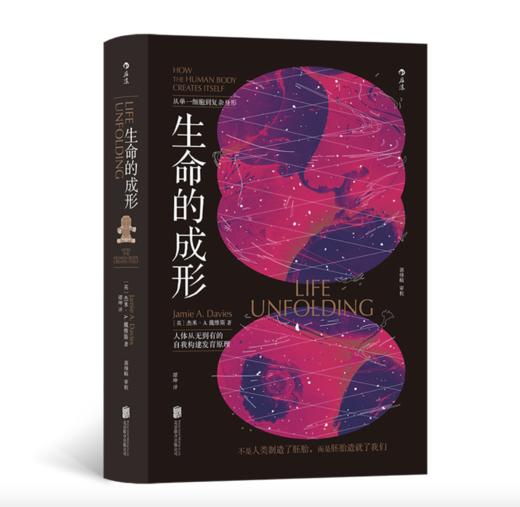 生命的成形：不是人类制造了胚胎，而是胚胎造就了我们——杰米·A. 戴维斯 著 北京联合出版有限公司 商品图0
