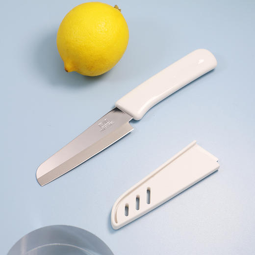 KAI贝印夏日水果刀家用厨房工具不锈钢水果刀削皮【不支持补差，非质量问题不退不换】S 商品图1