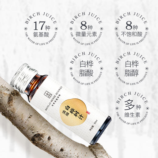 【12倍浓缩头茬桦树汁】2025年新汁，麦麦定制版，对身体不适，有着多种调理效果！具体详见群内介绍！礼盒装一份8瓶*2盒共16瓶！家庭装一箱32瓶！ 商品图6