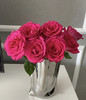 【拍市玫瑰】弗洛伊德 10枝/扎  60公分 商品缩略图1