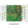 大自然观察手册 带你听到更多大自然的声音 读小库 5-100岁 自然绘本 博物百科 商品缩略图4
