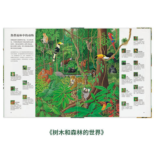 大自然观察手册 带你听到更多大自然的声音 读小库 5-100岁 自然绘本 博物百科 商品图4