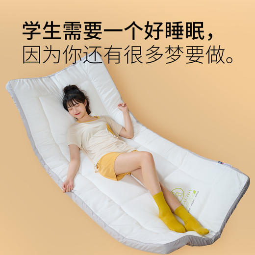 佳丽斯床垫软垫家用榻榻米垫子加厚租房垫褥睡垫 商品图3