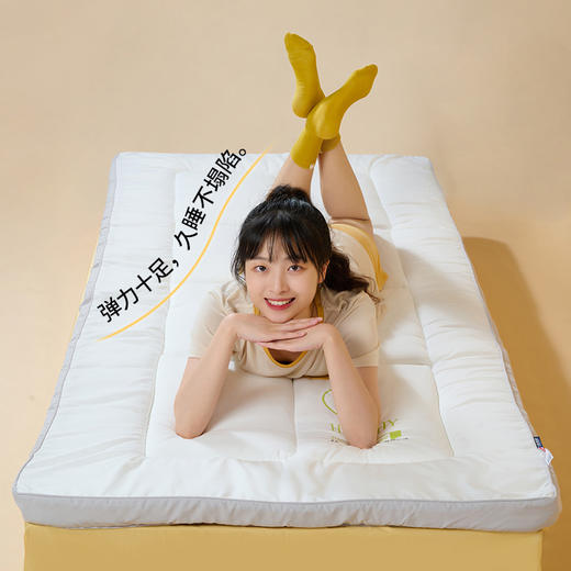 佳丽斯床垫软垫家用榻榻米垫子加厚租房垫褥睡垫 商品图6