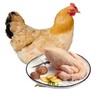 【周三、周六发货 需提前预定】鲍峡土母鸡1只+30枚土鸡蛋【母鸡净重2.2斤左右 】 商品缩略图2
