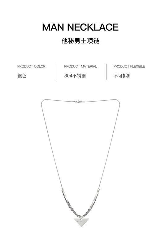 【秘币兑换】Secrethem 他秘定制项链 商品图3