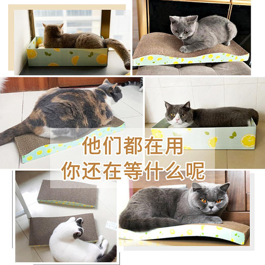 【柠檬猫抓板 为磨爪而生】猫抓板磨爪器瓦楞纸磨爪大号猫爪板防猫抓沙发保护猫咪用品猫玩具 商品图2