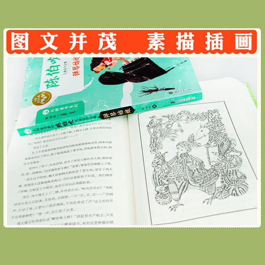 陈伯吹儿童文学文集 (全5册任选) 阿丽思小姐 弹琴姑娘 骆驼寻宝记 飞虎队与野猪队 一只想飞的猫 大师童书系列 南京大学出版社 商品图4