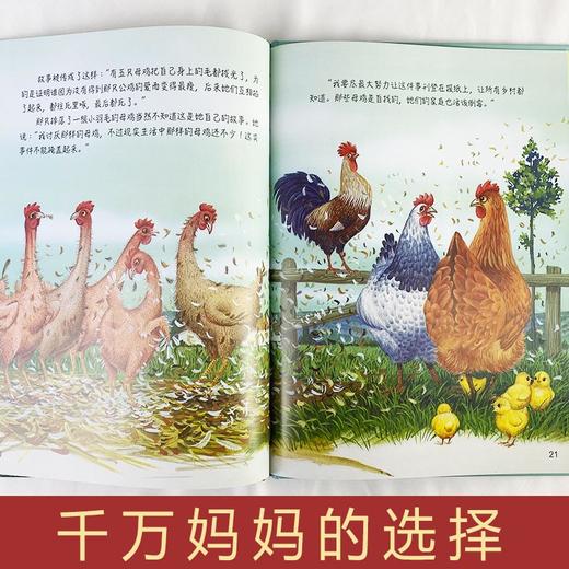 这是千真万确的 安徒生童话系列幼儿园正版书籍大班中班小班宝宝3-6岁亲子共读精装绘本儿童早教启蒙认知睡前故事硬壳硬皮童话绘本 商品图4