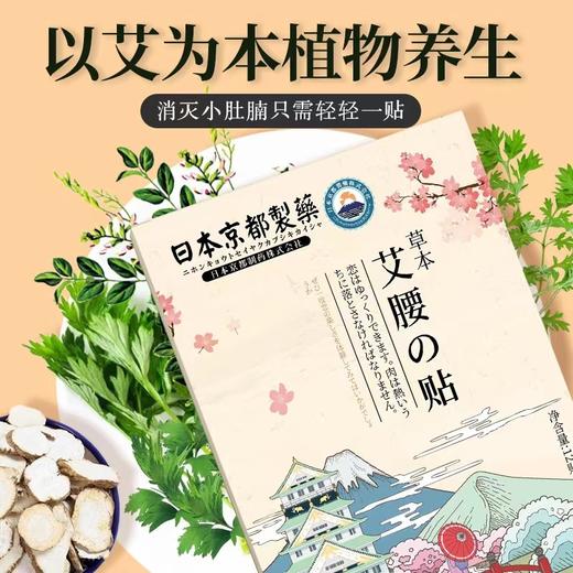 【买一送一】草本艾腰贴丨穴位贴敷   深层渗透 艾叶 轻盈体态 商品图0