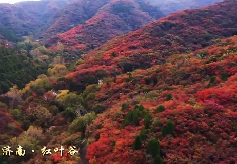 山东·齐鲁秋色摄影团9天——山东沂蒙山、潍坊石门坊红叶、淄博红叶柿岩景区、东营黄河湿地、济南红叶谷、青岛秋韵 商品图0