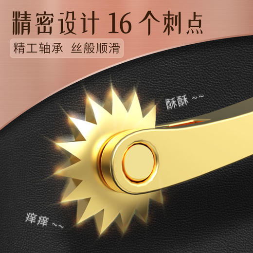 roomfun房趣 钢笔刺轮 商品图1