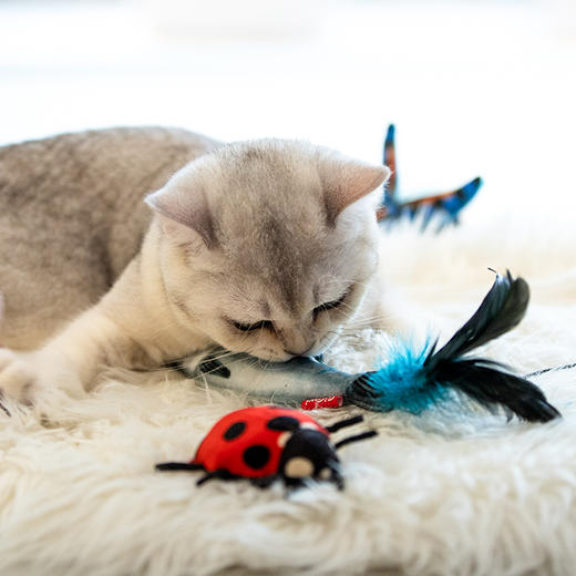GiGwi贵为喵趣多猫玩具礼盒套装羽毛逗猫棒仿真鱼猫薄荷猫咪用品 商品图1