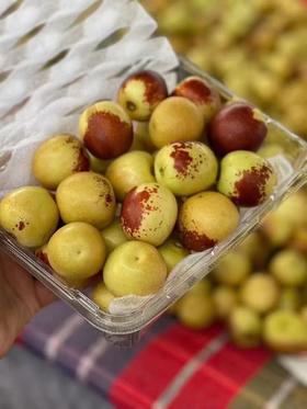 山西临猗冬枣（云南）