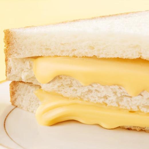 百吉福（MILKANA） 芝士片 香浓原味 100g（6片） 商品图1