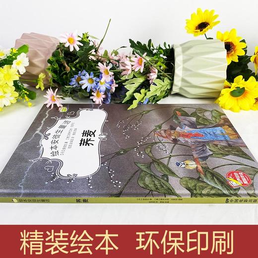 荞麦安徒生童话系列 幼儿园正版书籍大班中班小班宝宝3-6岁亲子共读精装绘本儿童早教启蒙认知睡前故事硬壳硬皮童话绘本 商品图1