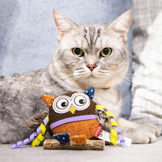 GiGwi贵为木天蓼磨牙棒猫咪洁齿耐啃咬自嗨解闷逗猫棒毛绒猫玩具 商品图1