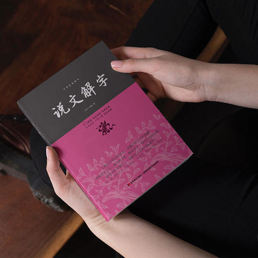 说文解字 商品图2