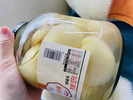 桃罐头一瓶（拼团） 商品图2
