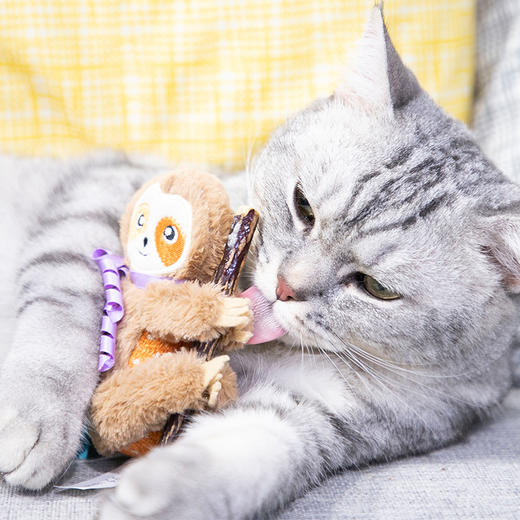 GiGwi贵为木天蓼磨牙棒猫咪洁齿耐啃咬自嗨解闷逗猫棒毛绒猫玩具 商品图2