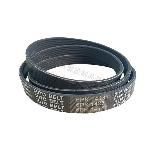 特别特6pk1423皮带（61423） 商品图0