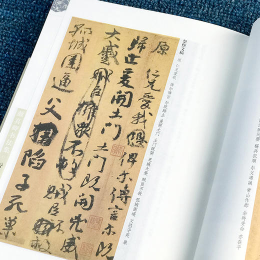 颜真卿书法集 布面精装彩图国学经典书法写真书 楷书行书入门基础教程毛笔字帖颜体标准字帖集字古诗古文书法王羲之三希堂法帖书籍 商品图2