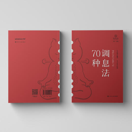 调息法70种 瑜伽文库·正行系列 王志成 著 生活 商品图1