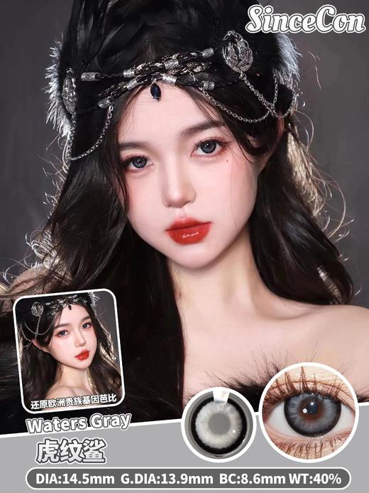 sincecon 日抛 虎纹鲨 直径14.5mm着色13.9mm 商品图6