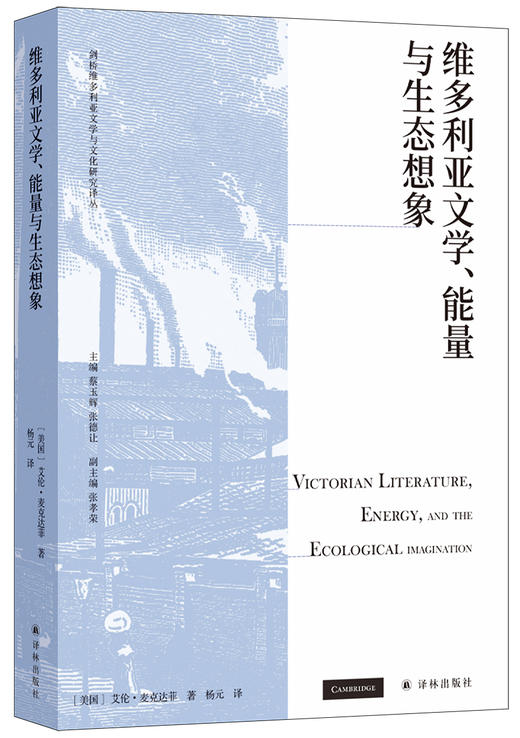 维多利亚文学、能量与生态想象 商品图2