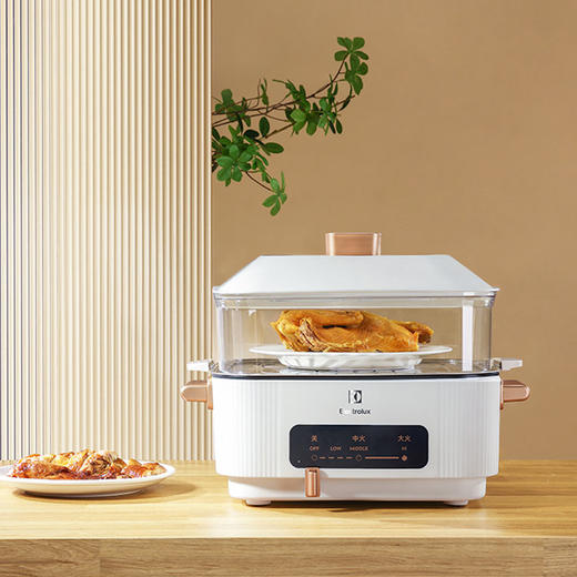 EGHP6020多功能电火锅 商品图1