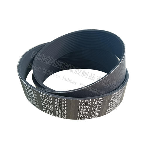 特别特12pk1560皮带（121560） 商品图0