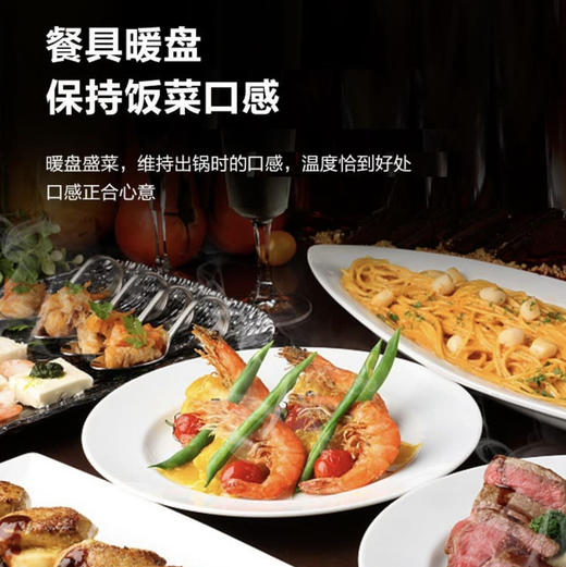 海尔（Haier）消毒柜ZQD100F-H20U1 商品图13