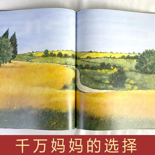 荞麦安徒生童话系列 幼儿园正版书籍大班中班小班宝宝3-6岁亲子共读精装绘本儿童早教启蒙认知睡前故事硬壳硬皮童话绘本 商品图2