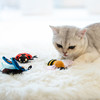 GiGwi贵为喵趣多猫玩具礼盒套装羽毛逗猫棒仿真鱼猫薄荷猫咪用品 商品缩略图2