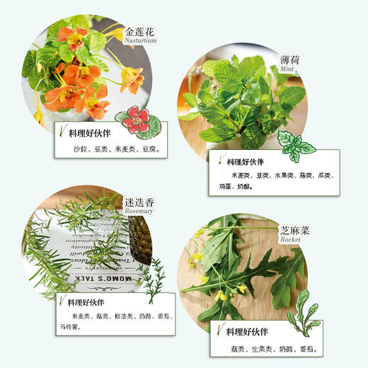 香草季节蔬食料理 商品图3