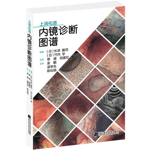 全2本 上下消化道内镜诊断图谱 谢威 祝建红 消化道内镜操作注意事项中初级内镜医生参考书外科辽宁科学技术出版社9787559123510 商品图2