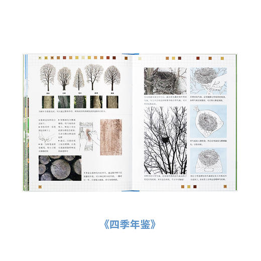 大自然观察手册 带你听到更多大自然的声音 读小库 5-100岁 自然绘本 博物百科 商品图2