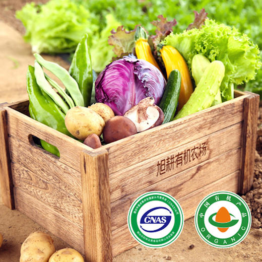 有机蔬菜箱 | 3斤/5斤/7斤 现摘现发农场直发 宅配 当季时蔬 旭耕 商品图3