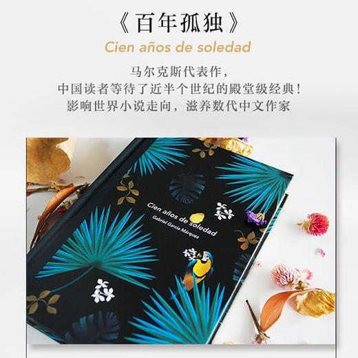 百年孤独 正版书中文版 诺贝尔文学奖获得者马尔克斯代表作精装珍藏版世界名著读物外国现当代文学小说畅销书 商品图4