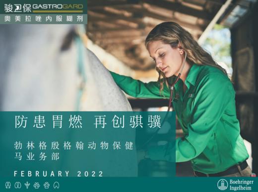 骏卫保——国内有批文的进口胃溃疡治疗专用药 商品图3