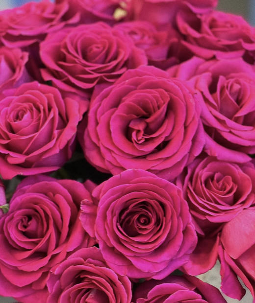 【拍市玫瑰】弗洛伊德 10枝/扎  60公分 商品图5