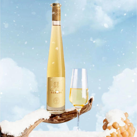 张裕黄金冰谷冰酒酒庄金钻级威代尔冰葡萄酒375ml 商品图2