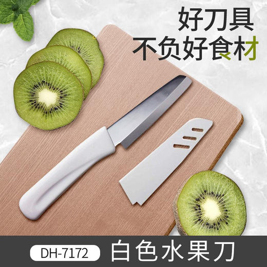KAI贝印夏日水果刀家用厨房工具不锈钢水果刀削皮【不支持补差，非质量问题不退不换】S 商品图4