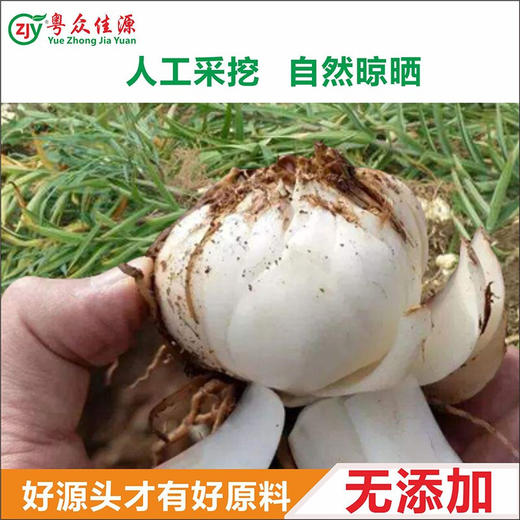 【粤众佳源】百合干250g 商品图3