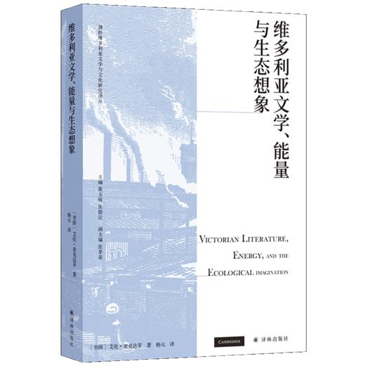 维多利亚文学、能量与生态想象 商品图0