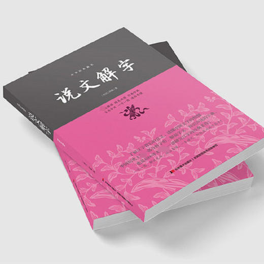 说文解字 商品图3