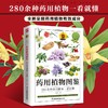 药用植物图鉴 商品缩略图2